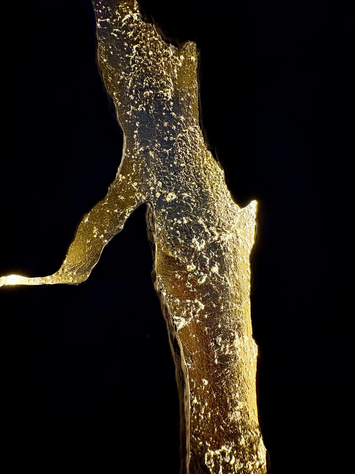 Dettaglio in foglia d'oro di un'opera della ricerca Metafania