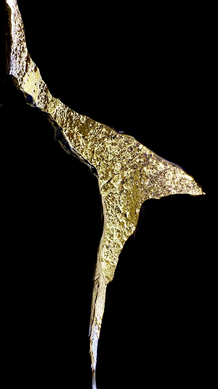 Dettaglio in foglia d'oro di un'opera della ricerca Metafania